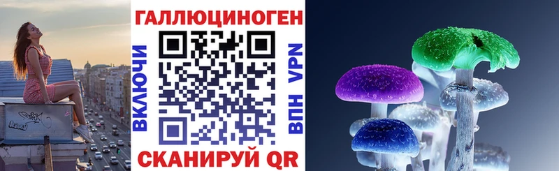 дарк нет какой сайт  Краснообск  Галлюциногенные грибы GOLDEN TEACHER 